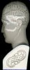 Phrenological bust by LN Fowler
