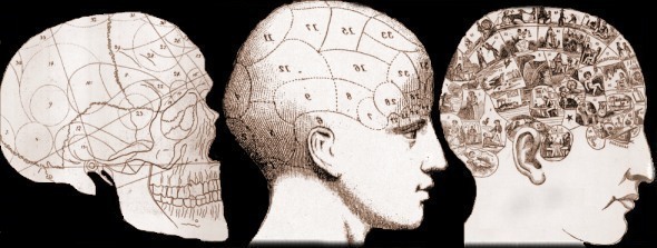 The evolution of phrenological images c. 1800; 1820; 1860.