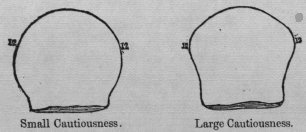 The organ of Cautiousness from H. Lundie